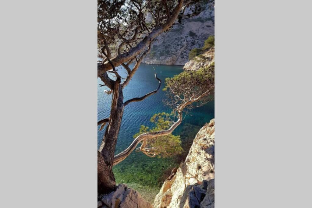Suite Sur La Mer Marseille Corniche Exterior photo